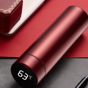 ORIVON® Smart — Bouteille Isotherme à Affichage LED